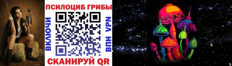 магазин  наркотиков  Алейск  Псилоцибиновые грибы ЛСД 