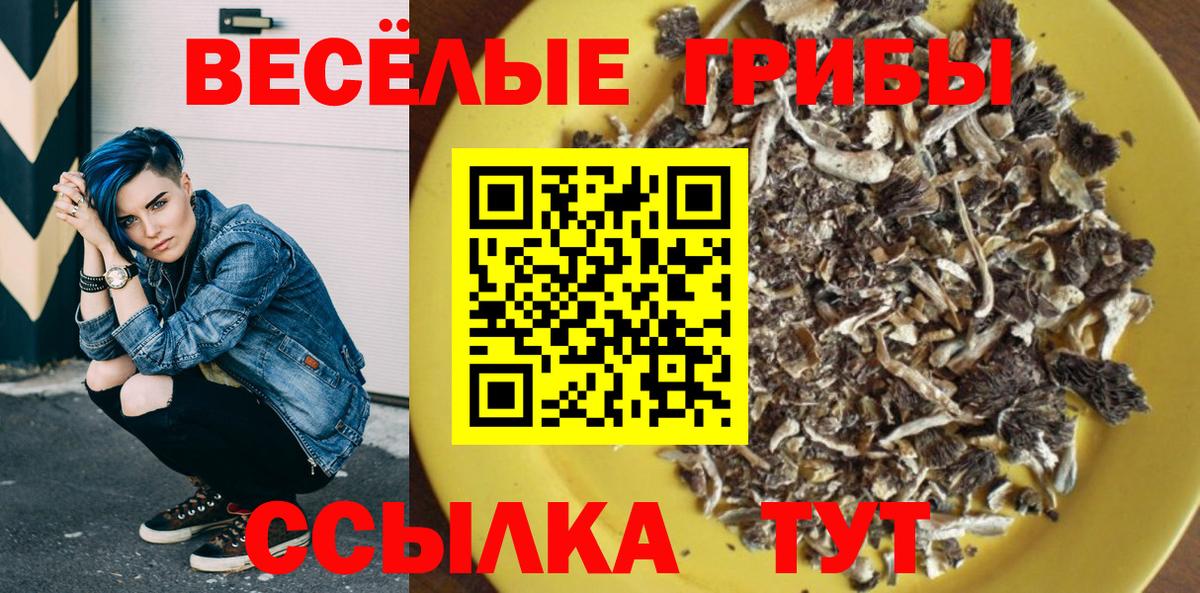 Алейск  Псилоцибиновые грибы MAGIC MUSHROOMS  Вход с VPN 
